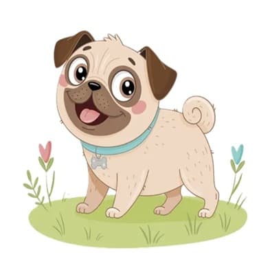 TEST URL ADRESA APP 1