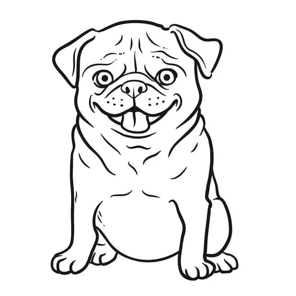 TEST URL ADRESA APP